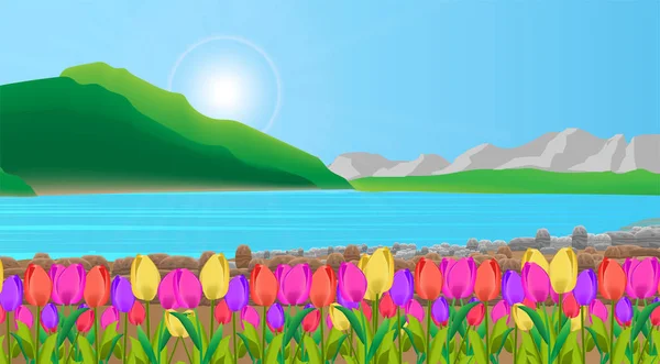 Beau Paysage Naturel Vastes Colorées Fleurs Faire Sentir Rafraîchi Détendu — Image vectorielle