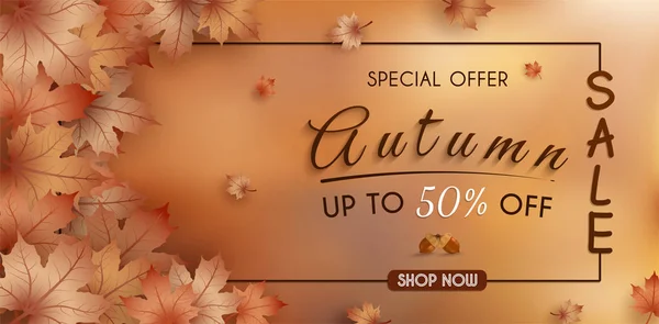 Oferta Especial Outono Design Banner Vendas Com Folhas Queda Sazonais — Vetor de Stock