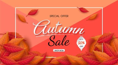 özel teklif sonbahar. ve satış afiş Tasarım. renkli mevsimsel sonbahar yaprakları ile. ve alışveriş indirimi promosyon için. ve çerçeve broşür veya web afiş. ve illüstrasyon veya arka plan olarak kullanılır.
