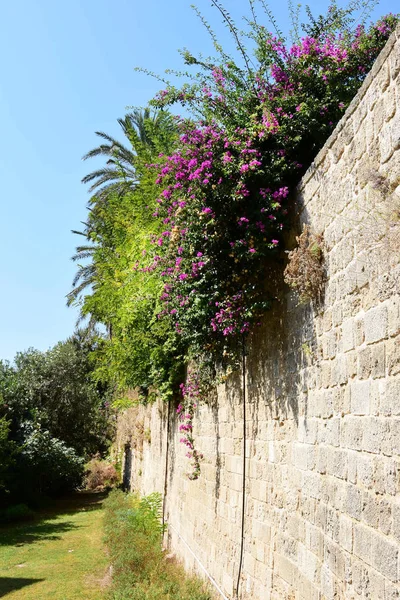 View Walls Old Town Rhodes Greece — Stock Photo, Image