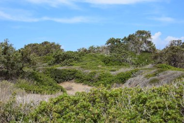 Rodos Adası batı-kuzey kıyısında