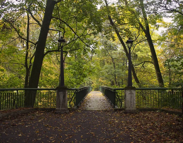 Красивая Красочная Осень Польше — стоковое фото