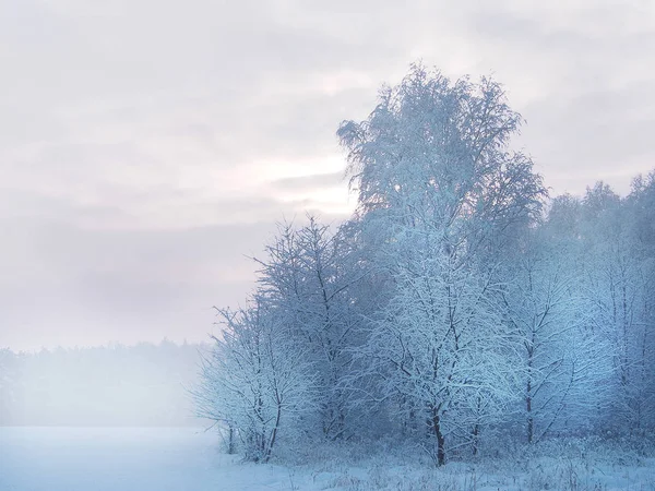 Schöne Winterlandschaft Ganz Weiß — Stockfoto