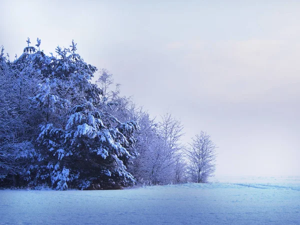 Зимовий Пейзаж Красива Біла Засніжена Зима — стокове фото