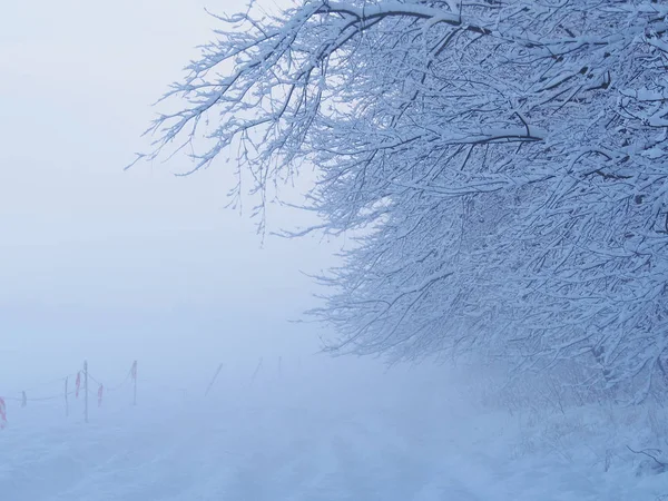 Bonita Paisagem Inverno Nevado Gelado — Fotografia de Stock