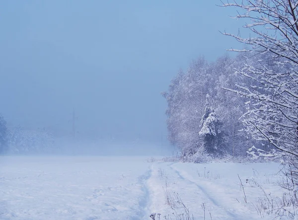 Bellissimo Bianco Gelido Nebbioso Paesaggio Invernale Polacco — Foto Stock