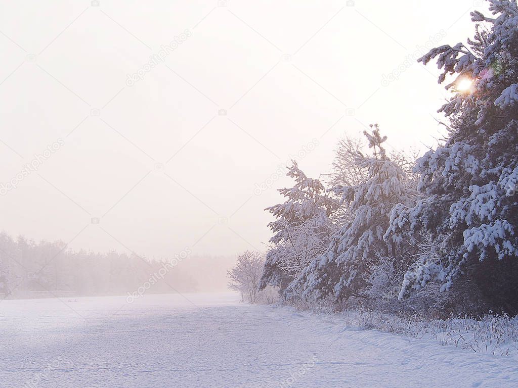 Beautiful white frosty and foggy polish winter landscape.