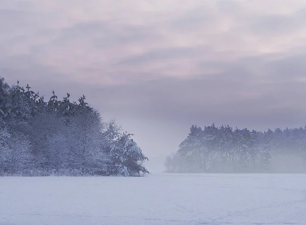 Paisaje Invernal Heladas Nieve Blanco — Foto de Stock