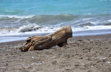 Bir çakıl plajı ve ahşap bir dal.