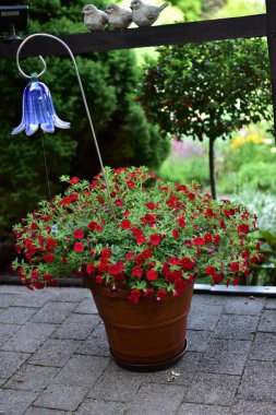 balkon ve teraslarda çiçekli bitkiler ile bahçe süslemeleri.