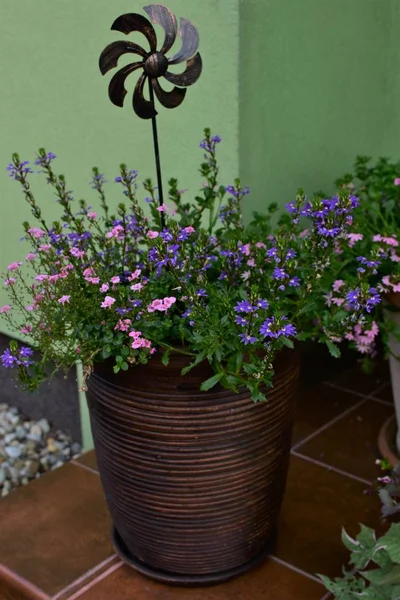 バルコニーとテラスに開花植物と庭の装飾 — ストック写真