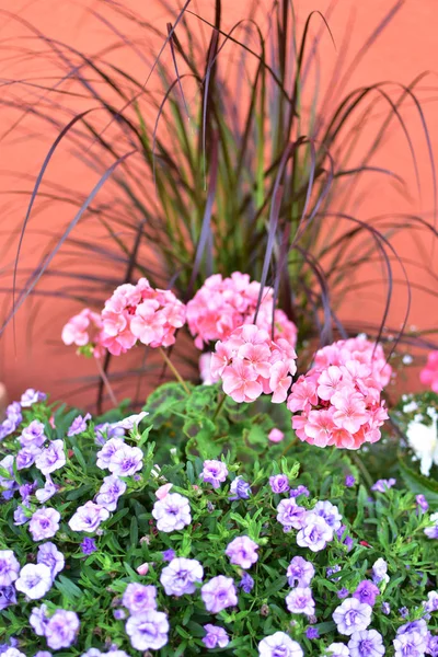 庭のための花の装飾 — ストック写真