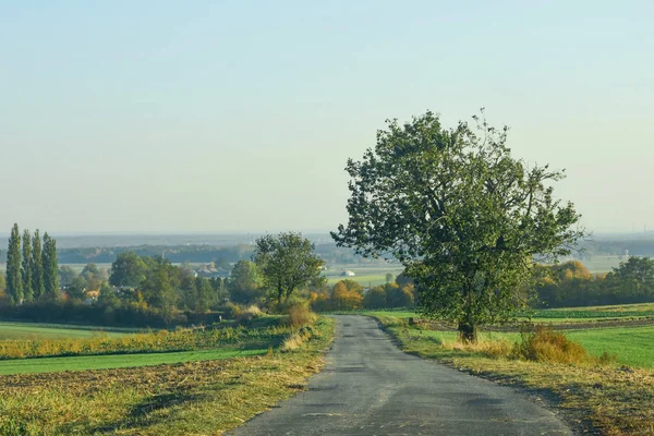 Prachtig Uitzicht Landerijen Steden Dorpen Herfstkleuren Zonsondergang Van November — Stockfoto