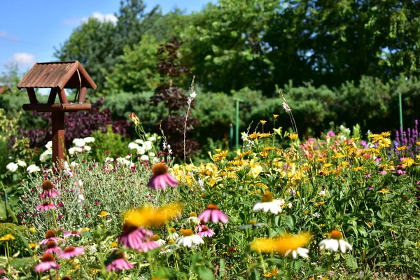 여름날 정원에 백합화 꽃다발 나세아 모으는 — 스톡 사진