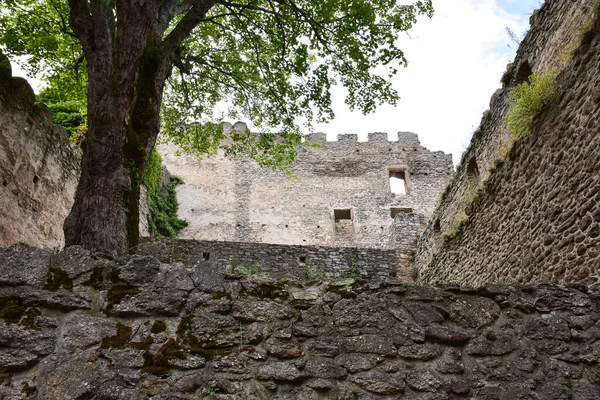 Rovine Del Castello Chojnik Situato 627 Metri Sul Livello Del — Foto Stock