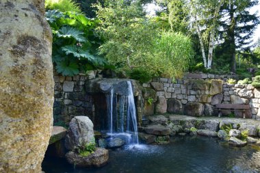 Güzel bir Japon bahçesi, harika ağaçlar, bitkiler, su ve taşlar Polonya 'da.