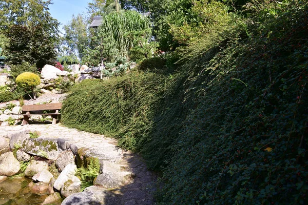 美丽的日本花园在阳光明媚的夏日 树木和美化的环境中被游览 — 图库照片