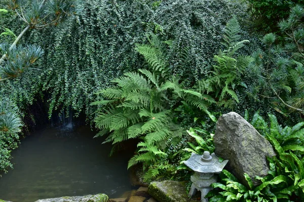 Schöner Japanischer Garten Einem Sonnigen Sommertag Besucht Wasser Felsen Wasserfälle — Stockfoto