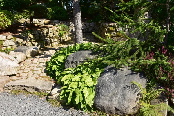 Vacker Japansk Trädgård Besöks Solig Sommardag Vatten Stenar Vattenfall Växter — Stockfoto