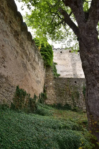 Les Ruines Château Chojnik Dans Parc National Karkonosze Pologne — Photo