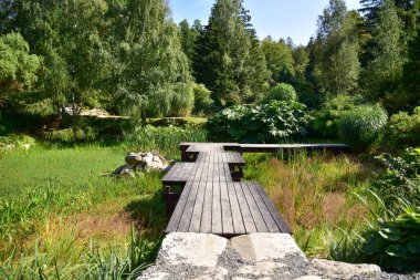 Güzel Japon bahçesi, harika ağaçlar, bitkiler, su ve taşlar bir yaz günü.