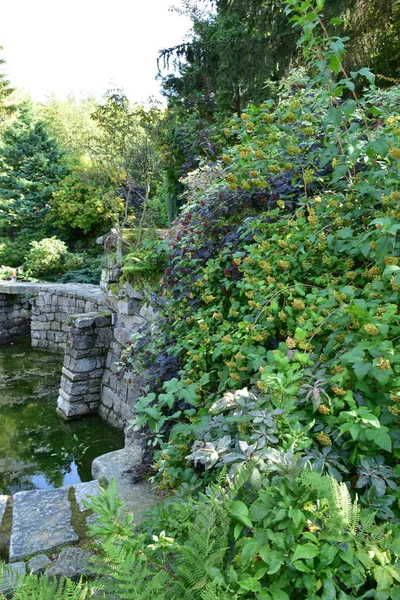 Vacker Japansk Trädgård Underbara Träd Växter Vatten Och Stenar Sommardag — Stockfoto