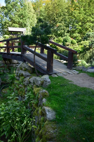 Beau Jardin Japonais Arbres Merveilleux Plantes Eau Pierres Jour Été — Photo