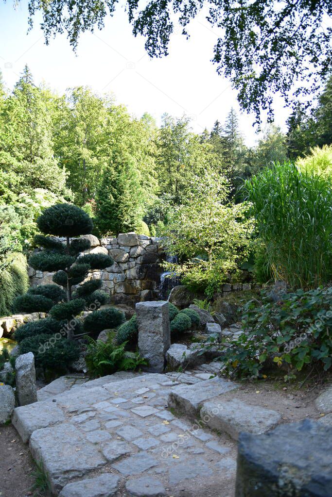 Beautiful Japanese garden, wonderful trees, plants, water and stones on a summer day.