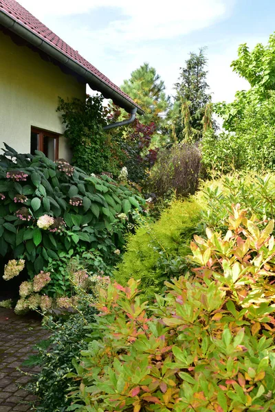 Garden Autumn Colors Clear October Day — Stock Photo, Image