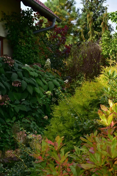 Açık Bir Ekim Gününde Sonbahar Renklerinde Bir Bahçe — Stok fotoğraf