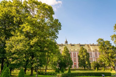 Muhteşem antik mimari Rönesans tarzında. Renkli ve çok farklı binalar Poznan antik şehir.