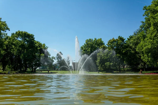 Une Grande Fontaine Magnifique Dans Centre Historique Poznan Entouré Une — Photo