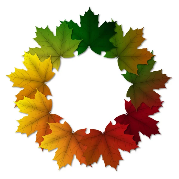 Colorful maple leaves in circle — Stock Photo, Image