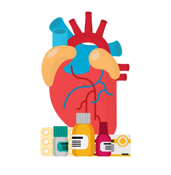 Anatomik Kalp Düz Biçim Tasarımı Vektör — Stok Vektör