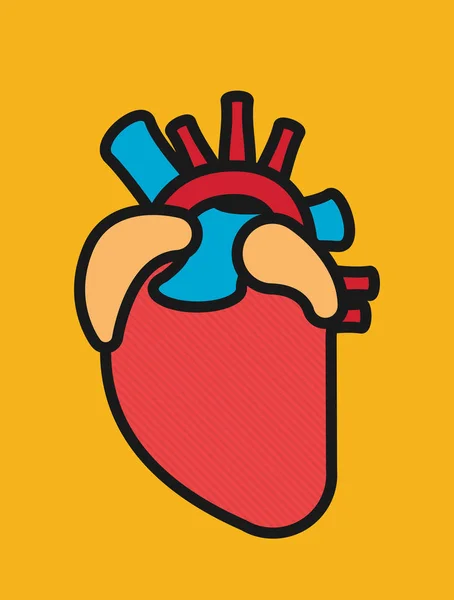 Corazón Anatómico Diseño Estilo Plano Vector — Vector de stock
