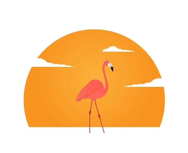 Pájaro Flamenco Paisaje Verano Atardecer — Vector de stock