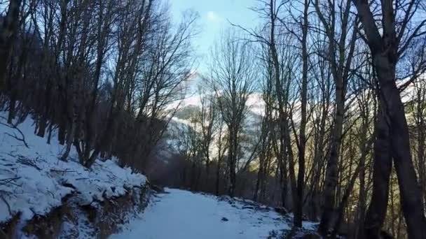 Bergen Vintern Georgien Kaukasus Och Ljusa Solen Panorama Över Bergen Royaltyfri Stockvideo