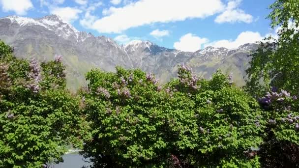 山里的丁香 美丽的天空和山脉 斯坦特斯明达 — 图库视频影像