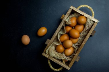 Yumurta grubu arasında