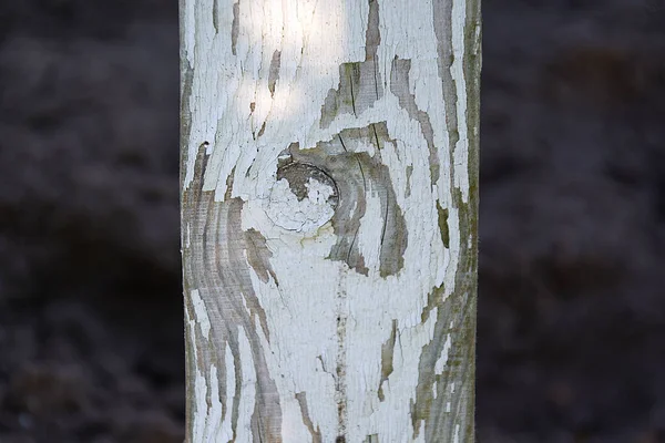 Alte Holzstruktur Weißer Farbe Auf Grauem Hintergrund — Stockfoto