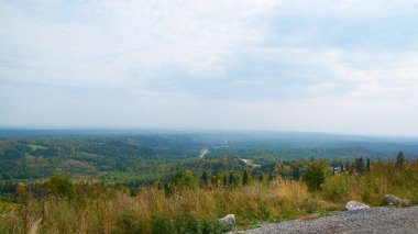 Sonbahar ormanı ve kuş bakışı bulutlar..