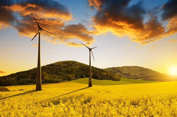 Raps Und Windenergieanlagen Der Frühlingslandschaft — Stockfoto