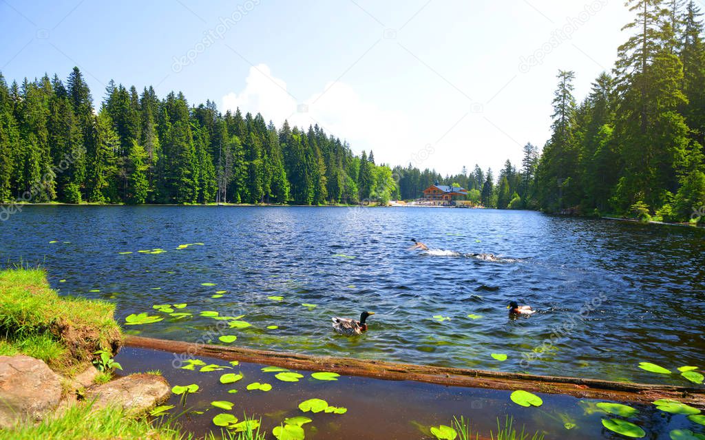 Moraine lake Grosser Arbersee in National park Bavarian forest. Germany.
