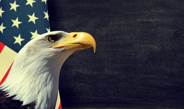 Kel kartal ve Amerikan bayrağı kopya alanı ile.