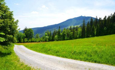 Bahar peyzaj Hiking trail. Mount Grosser Arber Milli Parkı Bavarian Forest, Almanya.