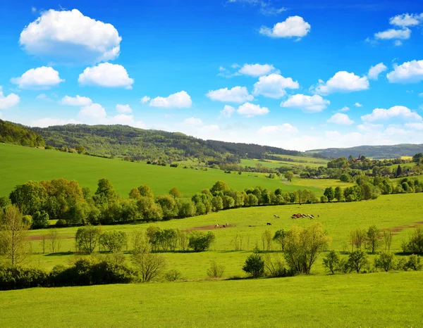 Forår Landskab Solrig Dag Landdistrikterne Nærheden Byen Klatovy Tjekkiet - Stock-foto