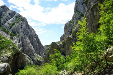 Büyük Paklenica Kanyon Milli Parkı Velebit dağ, Hırvatistan.