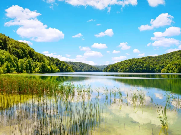 Gyönyörű Táj Plitvicei Tavak Nemzeti Park Horvátország — Stock Fotó