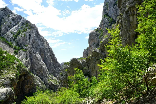 Büyük Paklenica Kanyon Milli Parkı Velebit dağ, Hırvatistan.