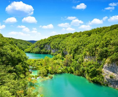 Plitvice Gölleri Milli Parkı, Hırvatistan güzel manzara.